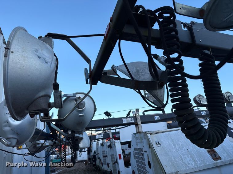 image for item DT2807 (3) light plants