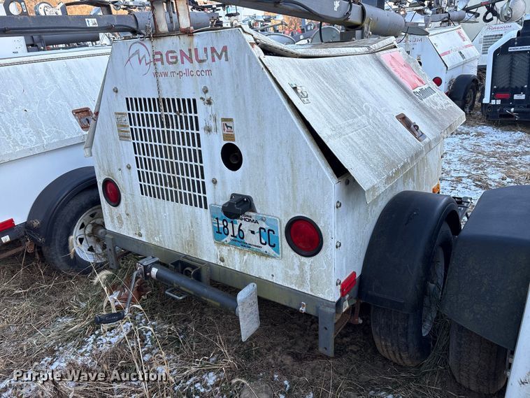 image for item DT2807 (3) light plants