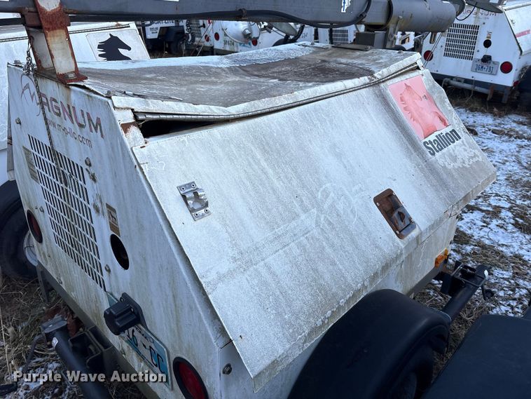 image for item DT2807 (3) light plants