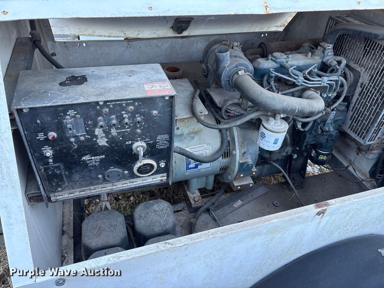 image for item DT2807 (3) light plants