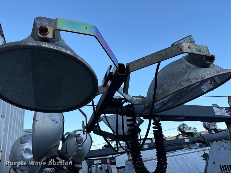 image for item DT2807 (3) light plants