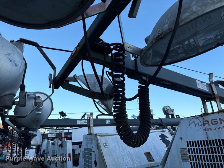 image for item DT2807 (3) light plants