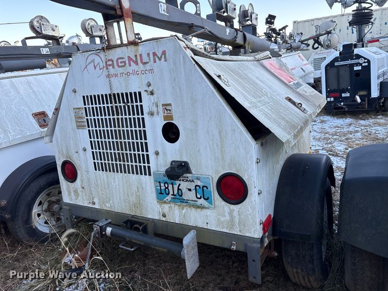 image for item DT2807 (3) light plants