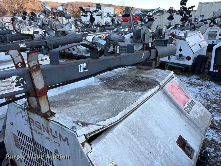 image for item DT2807 (3) light plants