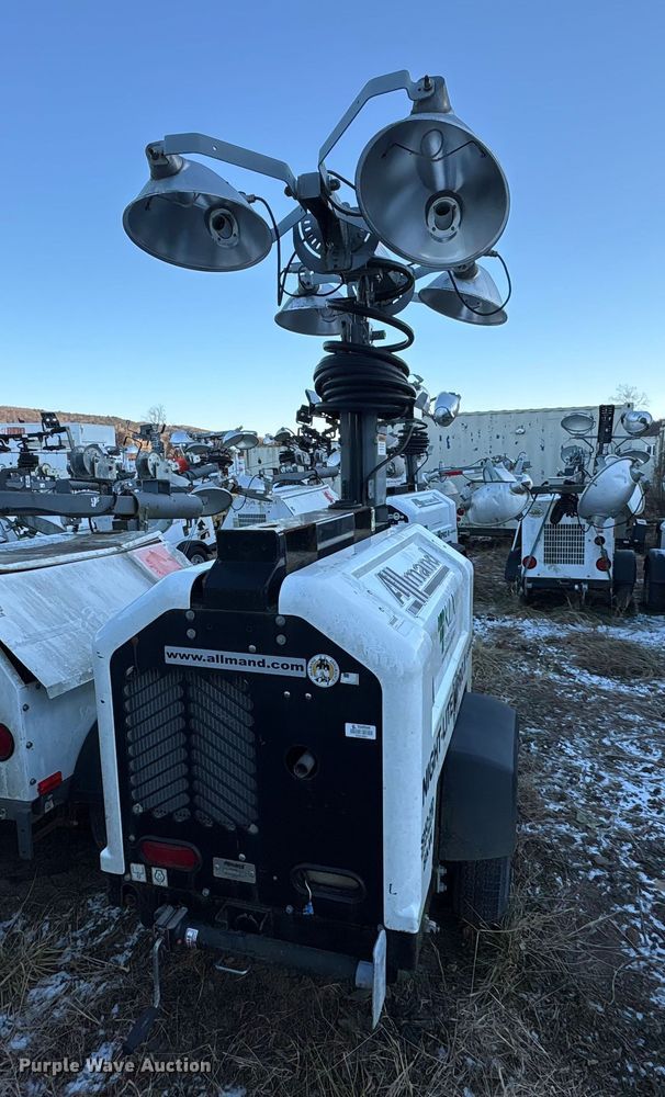 image for item DT2807 (3) light plants