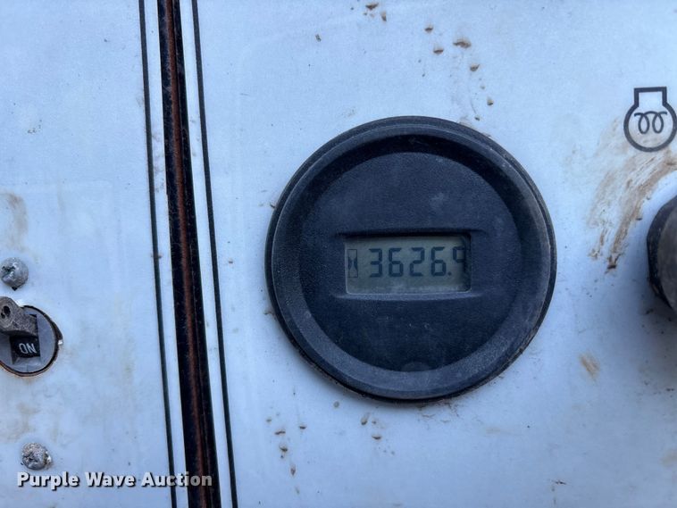 image for item DT2807 (3) light plants