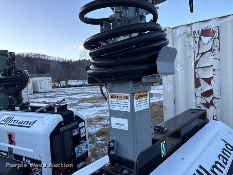 image for item DT2807 (3) light plants