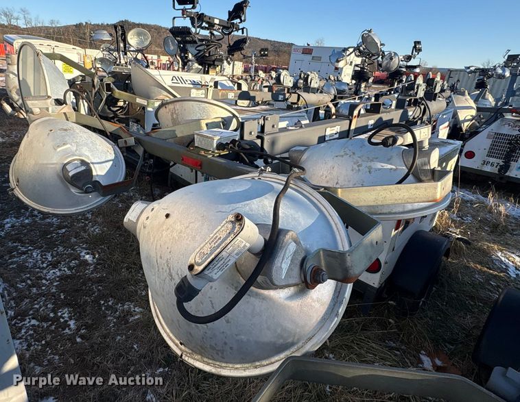 image for item DT2808 (3) light plants