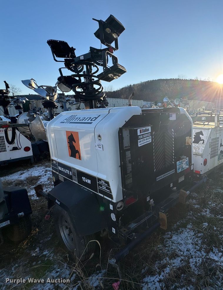 image for item DT2808 (3) light plants