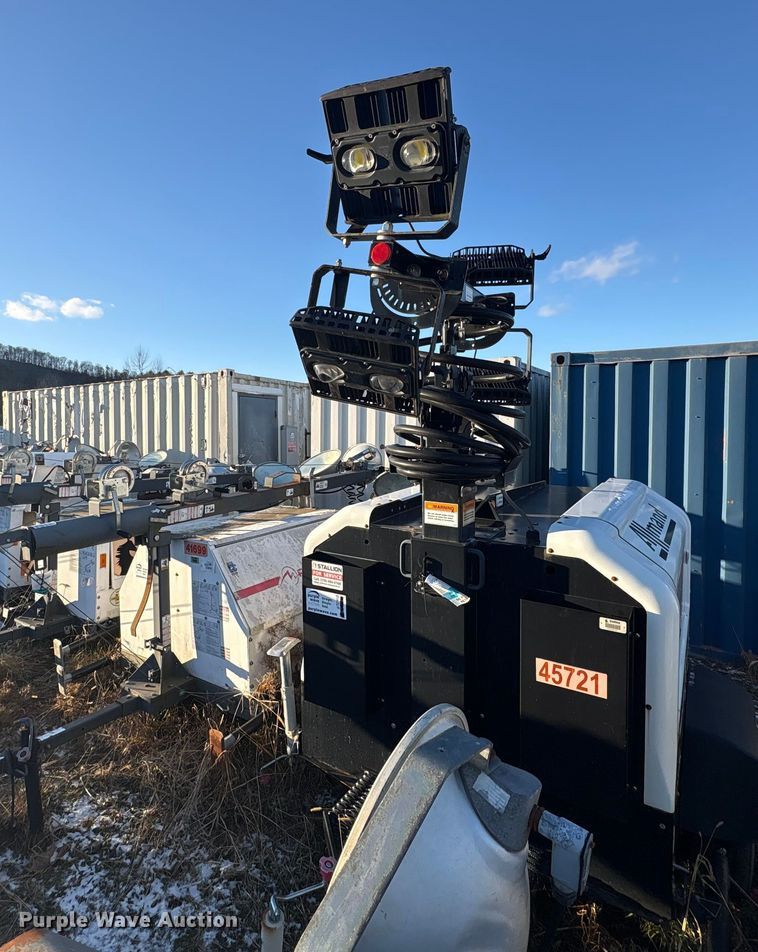 image for item DT2808 (3) light plants