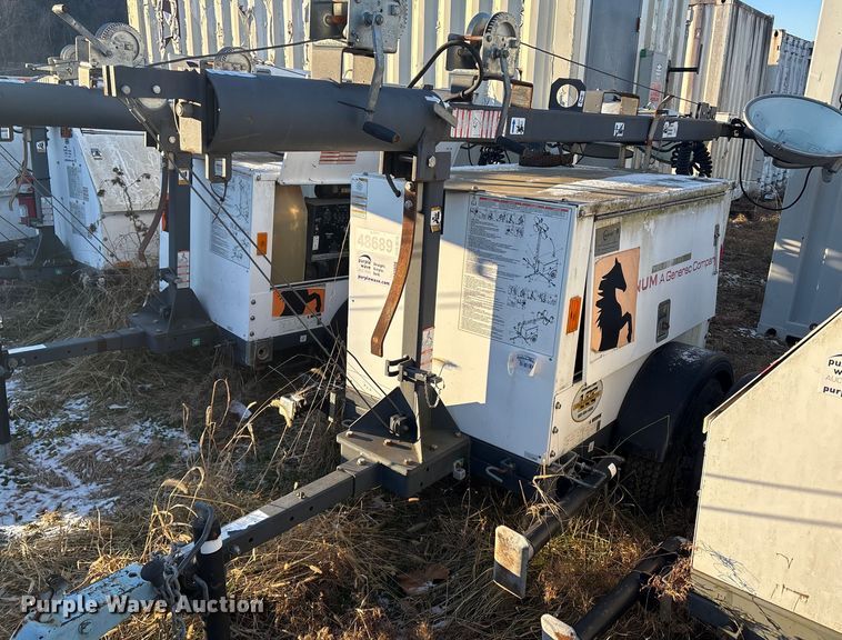 image for item DT2808 (3) light plants