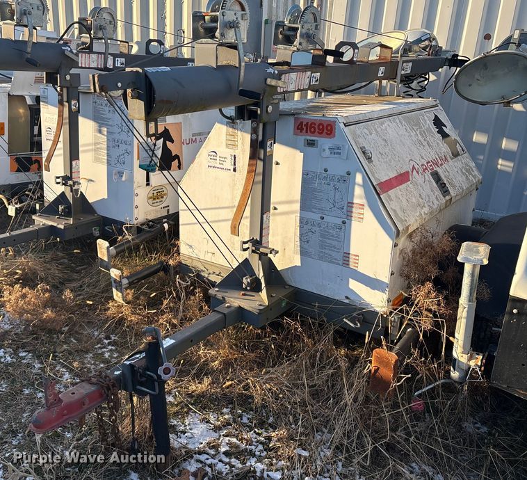 image for item DT2808 (3) light plants