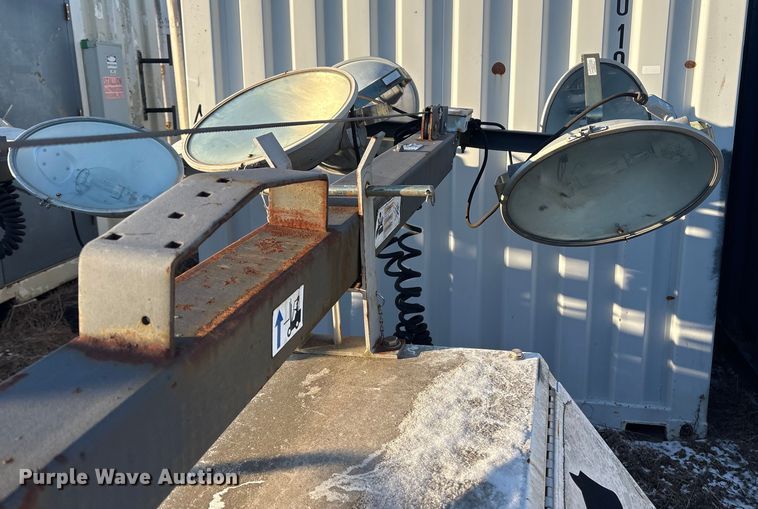 image for item DT2808 (3) light plants