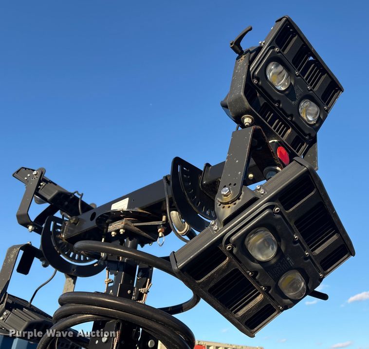 image for item DT2808 (3) light plants