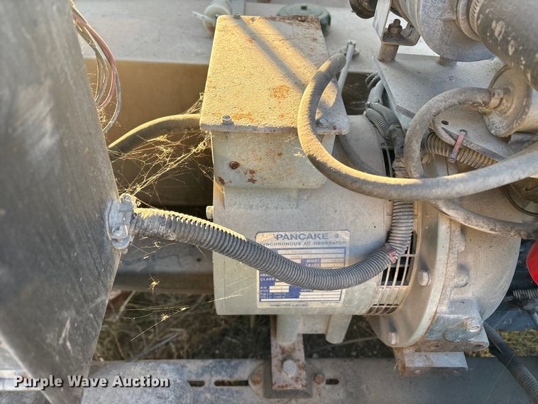 image for item DT2808 (3) light plants