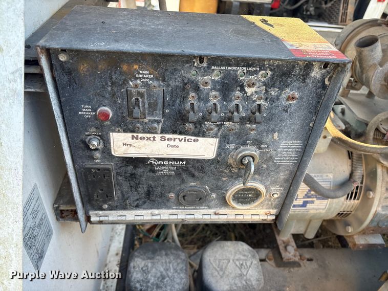 image for item DT2808 (3) light plants