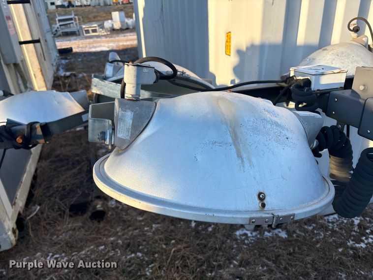 image for item DT2808 (3) light plants