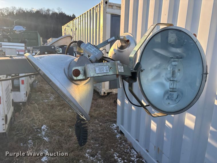 image for item DT2808 (3) light plants