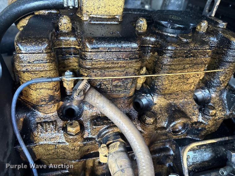 image for item DT2808 (3) light plants