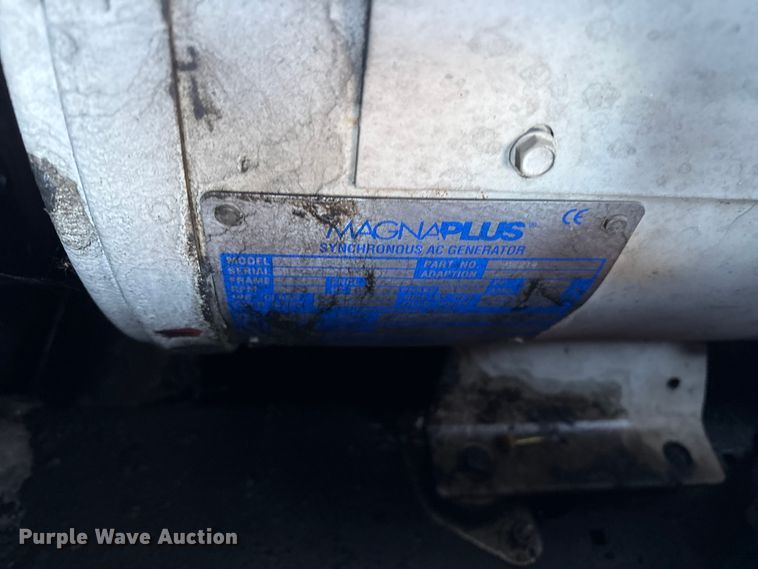 image for item DT2808 (3) light plants