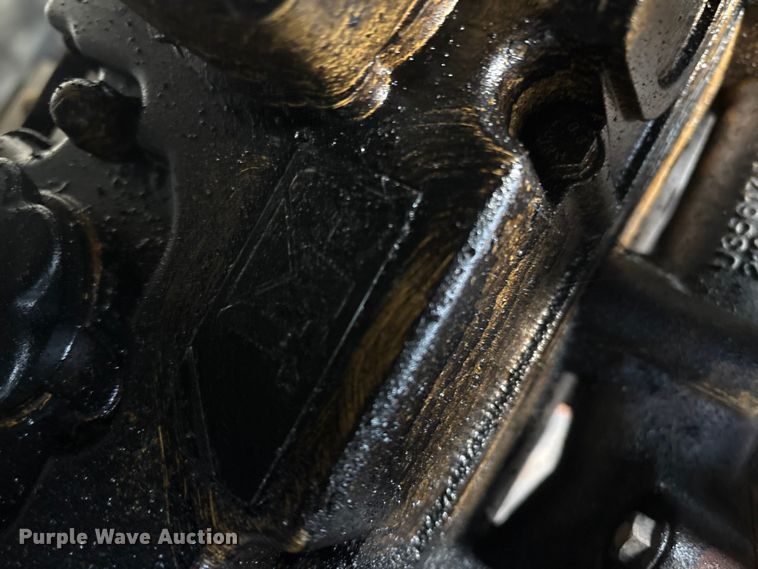 image for item DT2808 (3) light plants