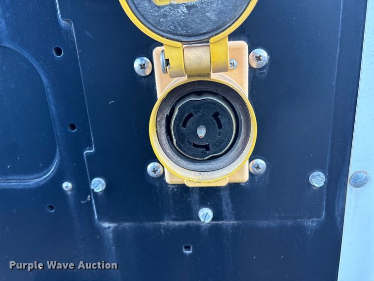 image for item DT2808 (3) light plants