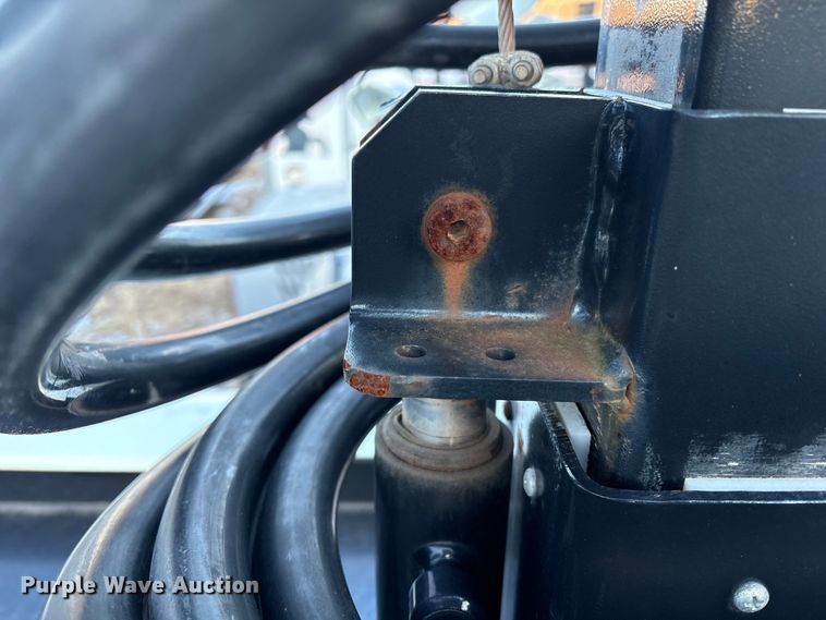 image for item DT2808 (3) light plants