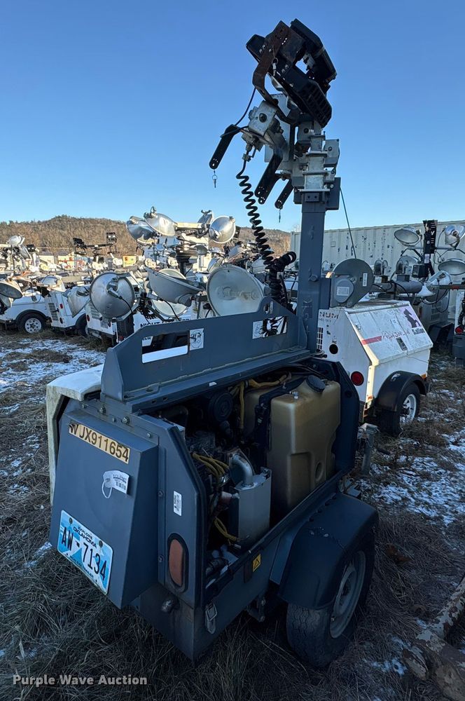 image for item DT2832 (2) light plants