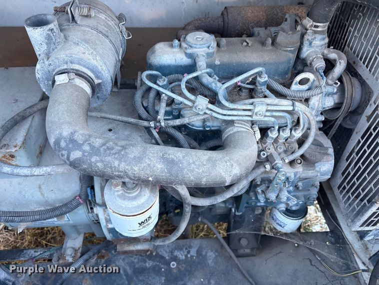 image for item DT2832 (2) light plants