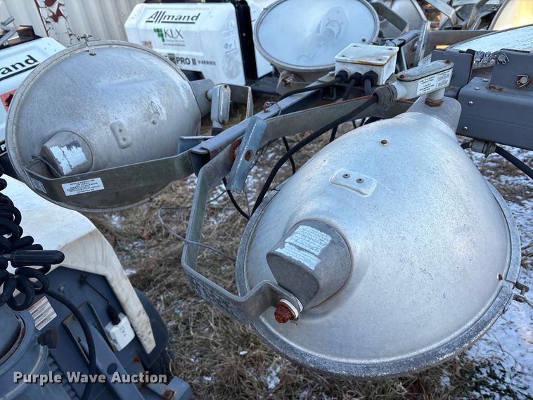 image for item DT2832 (2) light plants