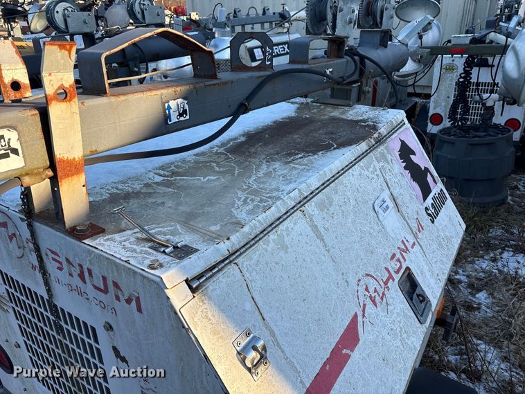 image for item DT2832 (2) light plants