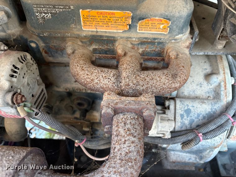 image for item DT2832 (2) light plants