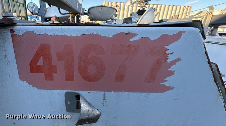 image for item DT2832 (2) light plants