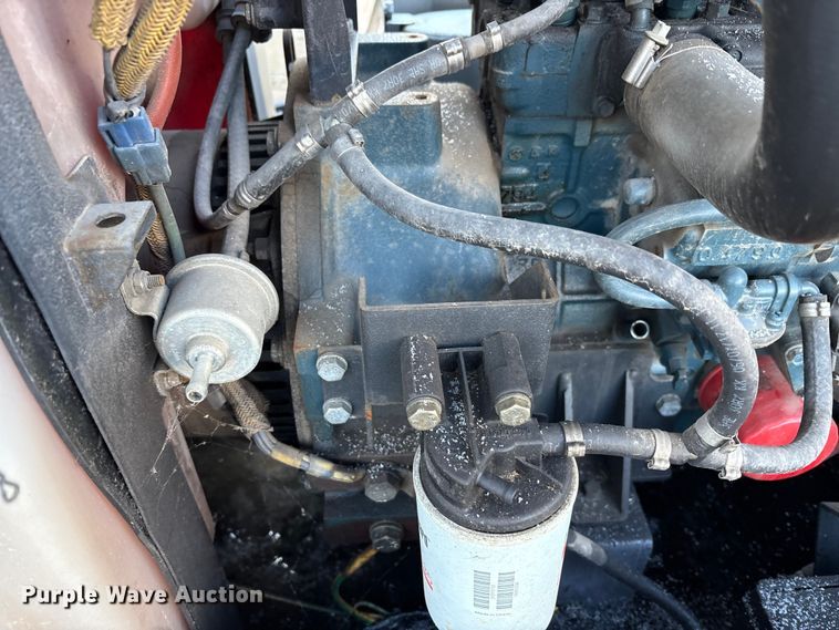 image for item DT2832 (2) light plants