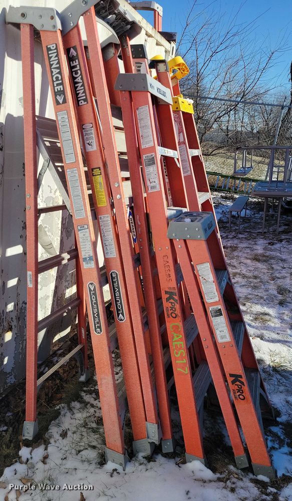 image for item NO9913 (10) Werner ladders