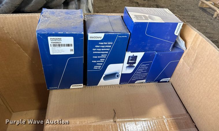 image for item EP2863 Assorted Paccar filters