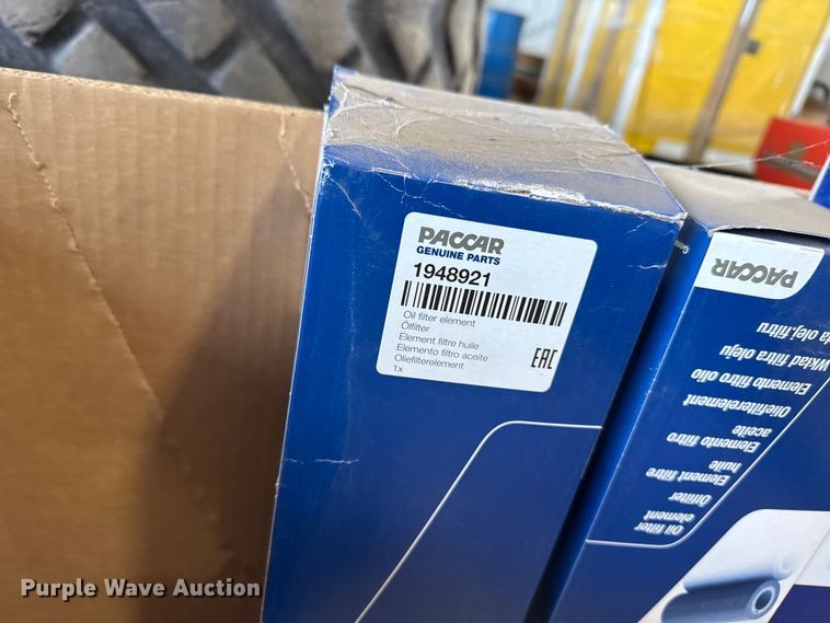 image for item EP2863 Assorted Paccar filters