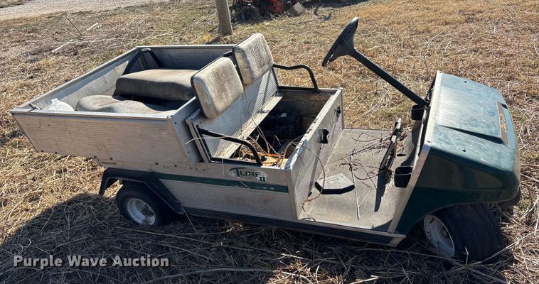 image for item EU0308 (2) golf carts