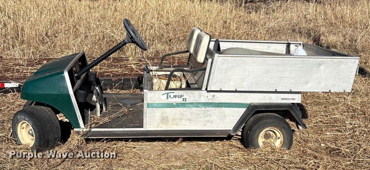 image for item EU0308 (2) golf carts