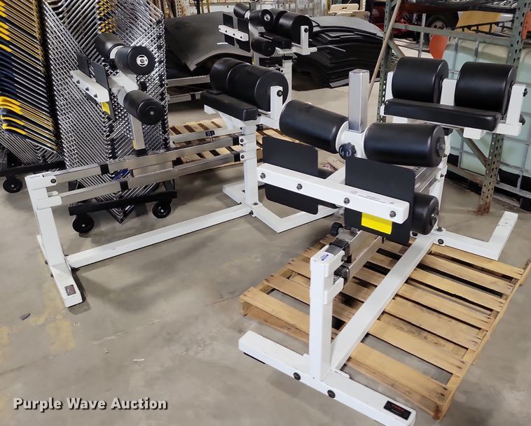 image for item NO9973 (3) York exercise machines