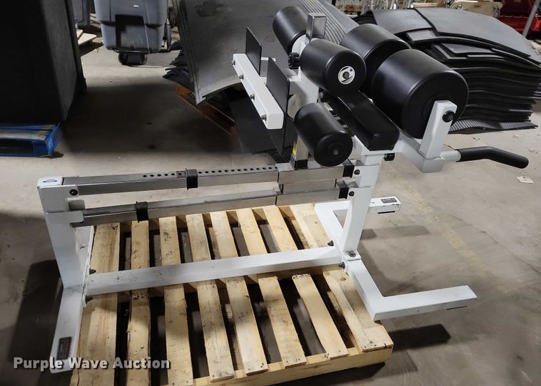 image for item NO9973 (3) York exercise machines