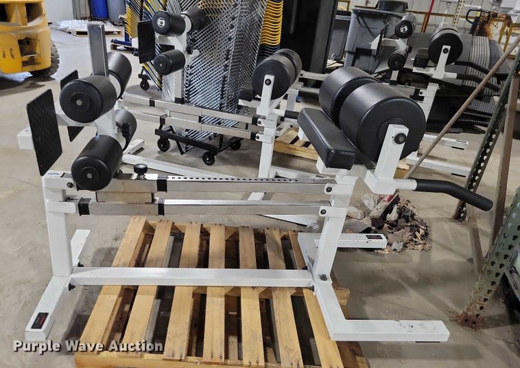 image for item NO9973 (3) York exercise machines