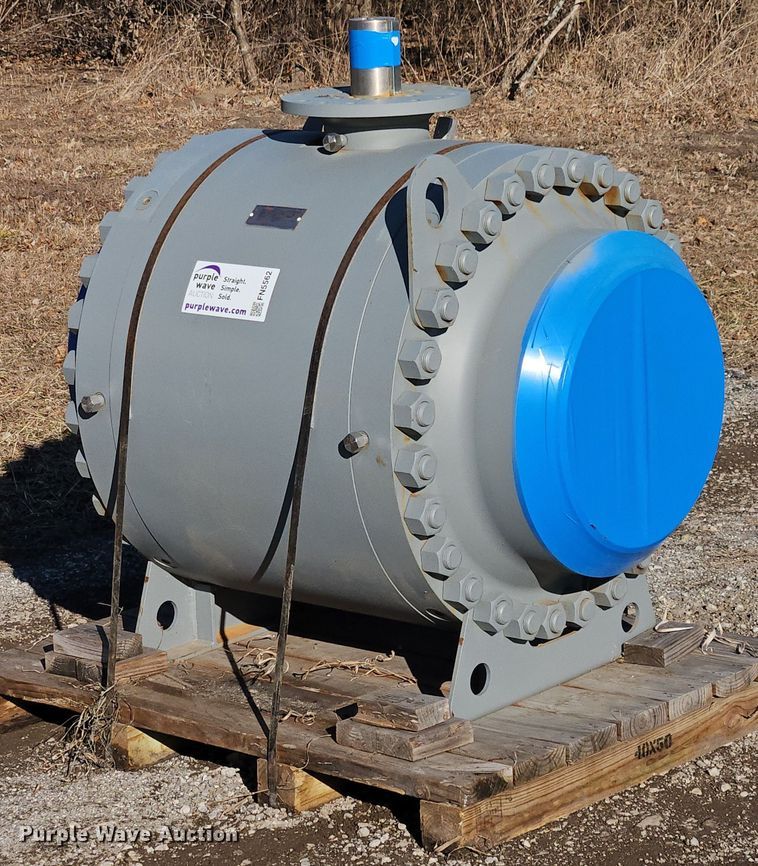 image for item FN5562 Flowserve ball valve