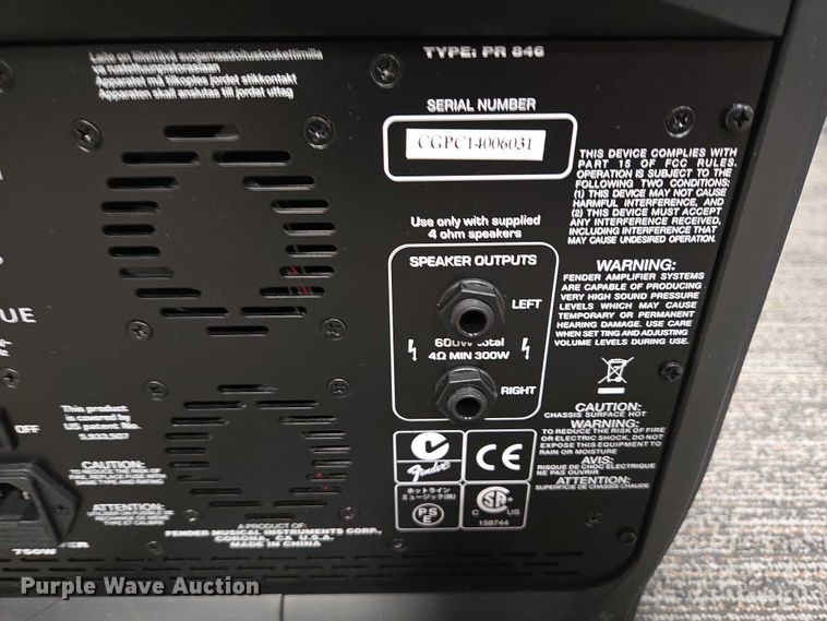 image for item ES2955 Fender Passport Venue speaker