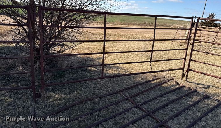 image for item DZ5004 (21) livestock panels