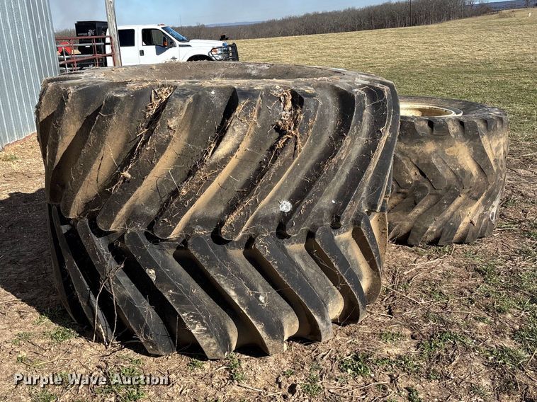 image for item FB3102 (2) flotation tires