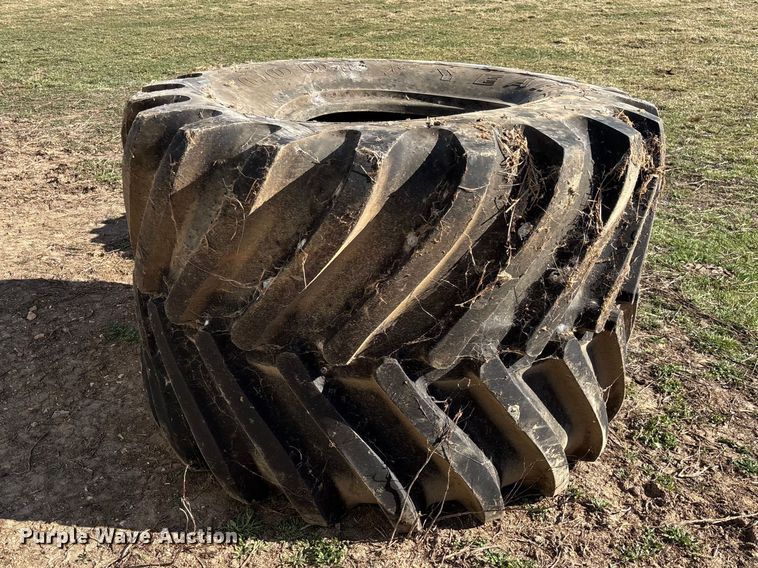 image for item FB3102 (2) flotation tires