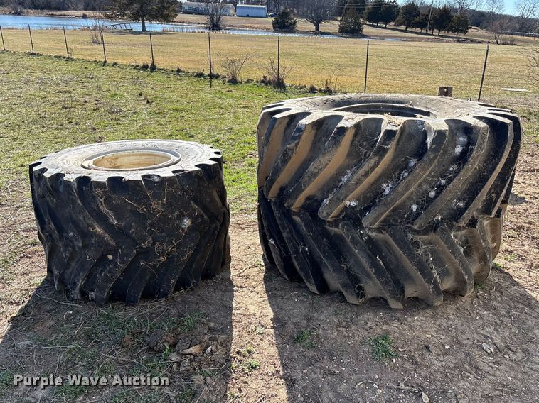 image for item FB3102 (2) flotation tires