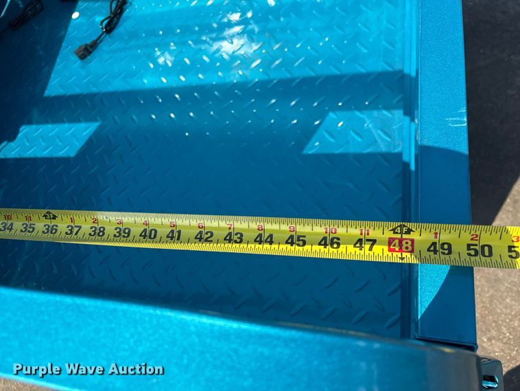 image for item EU7411 2025 IRanch IRET13 electric tricycle