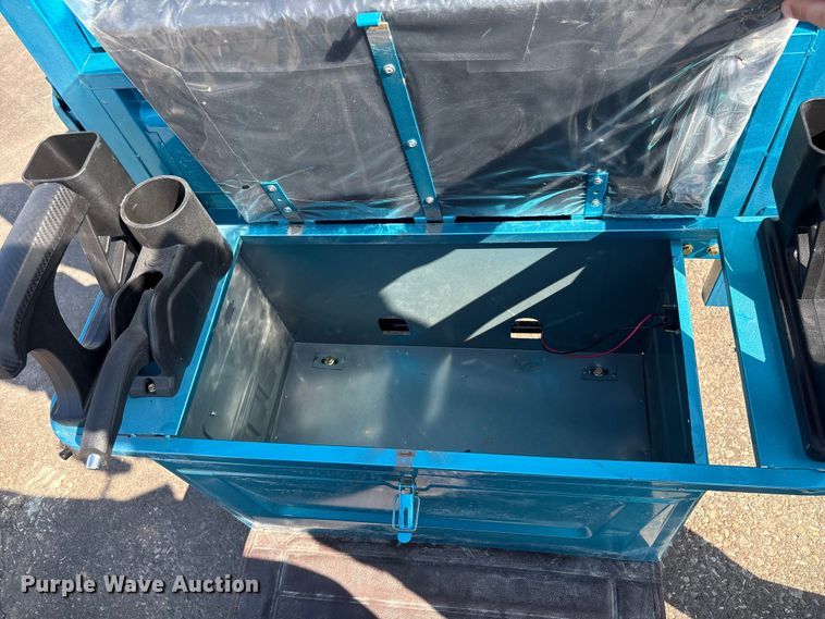 image for item EU7411 2025 IRanch IRET13 electric tricycle